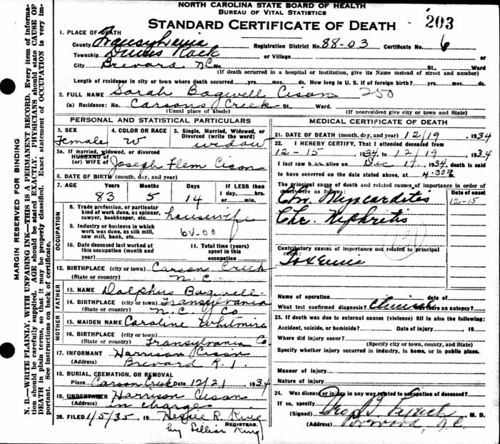 Sarah Ann (Bagwell) Cison - 1851 to 1934
Certificate of Death - State of North Carolina