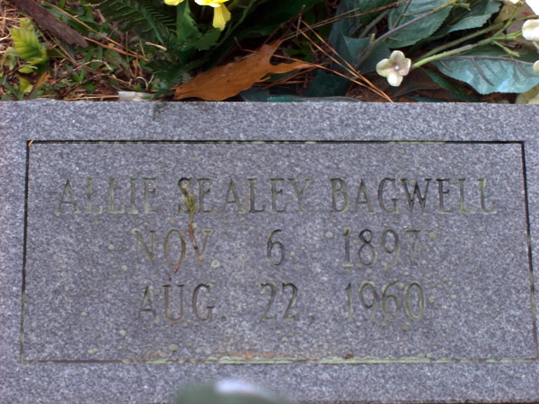 Allie (Sealey) Bagwell's Tombstone
Bagwell Cemetery, Wake County, North Carolina
Photograph courtesty of Kelli Michelle Bagwell